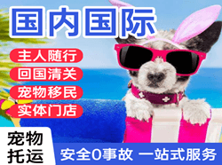 南充高坪机场空运国际宠物托运 【国